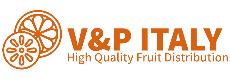 V&P Vetturi Italy